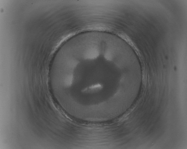 X0000081490434200702100034