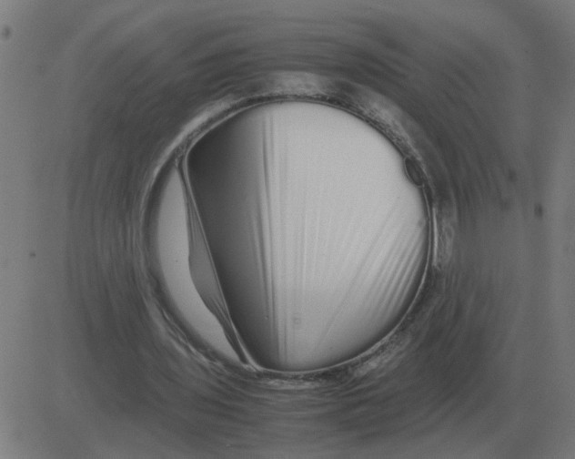 X0000081490435200702100034