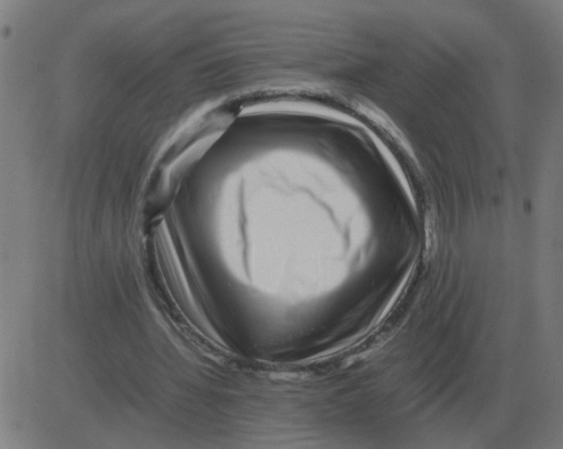 X0000081490436200702100034