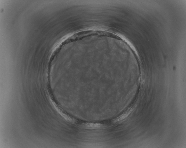 X0000081490437200702100034