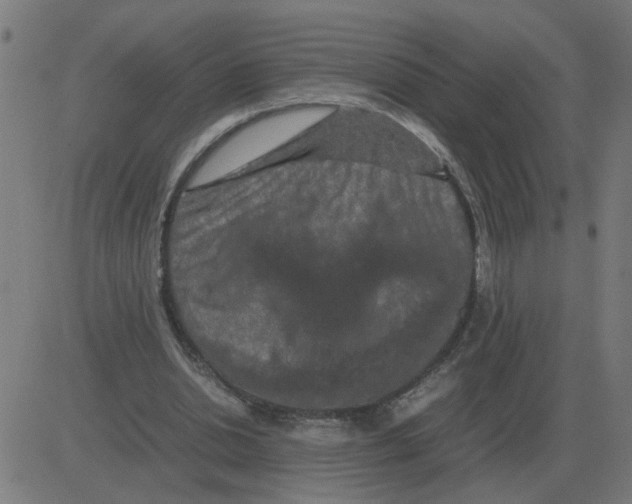 X0000081490438200702100034