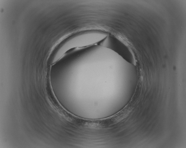 X0000081490440200702100034