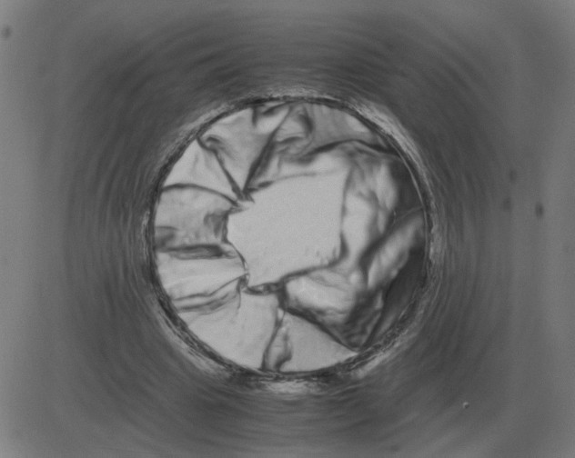 X0000081490441200702100034