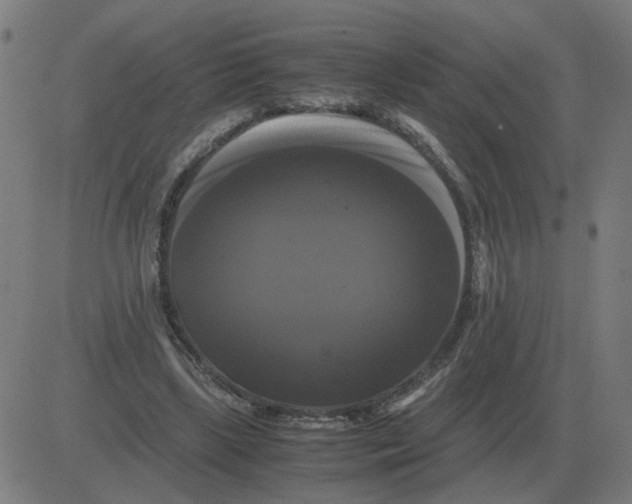 X0000081490443200702100034