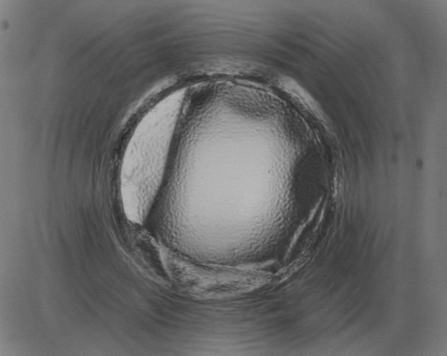 X0000081490444200702100034