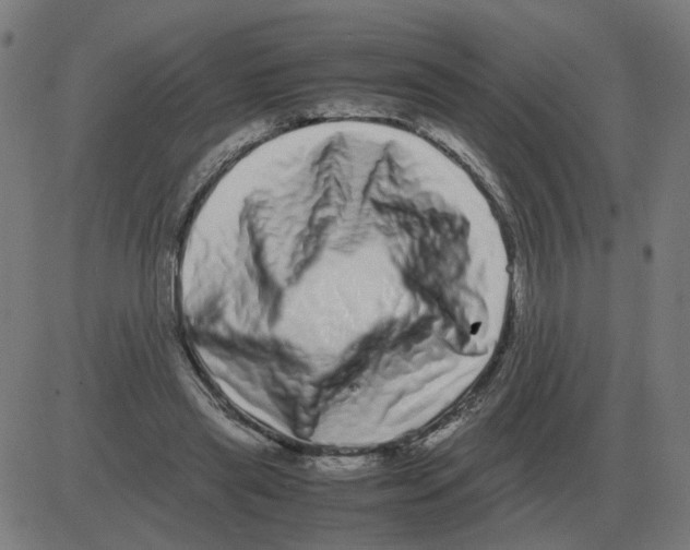 X0000081490445200702100034