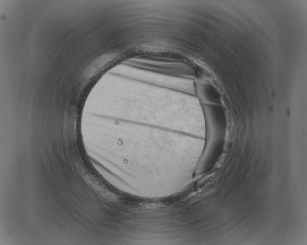 X0000081490446200702100034