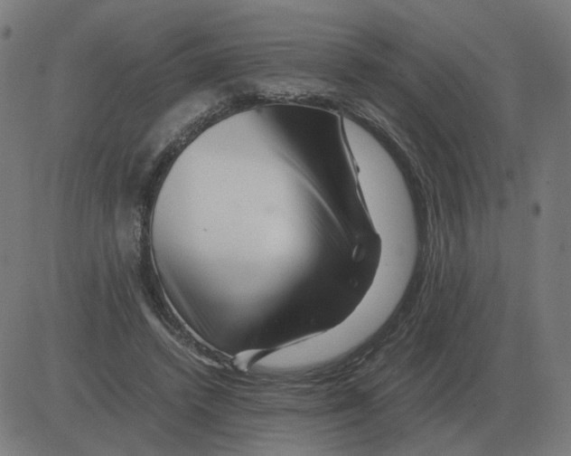 X0000081490448200702100034