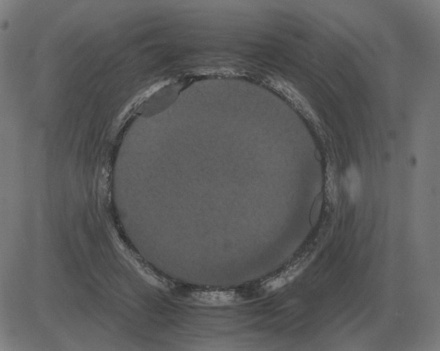 X0000081490449200702100034