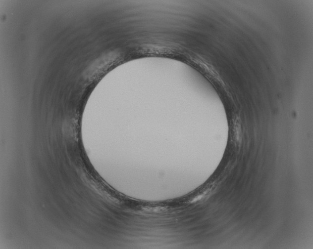 X0000081490450200702100034