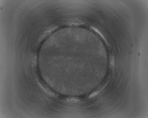 X0000081490451200702100034