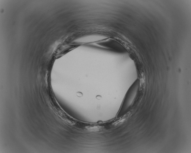 X0000081490452200702100034