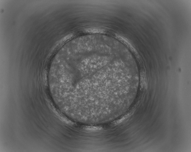 X0000081490453200702100034