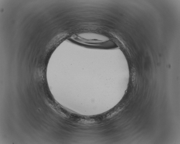 X0000081490455200702100034