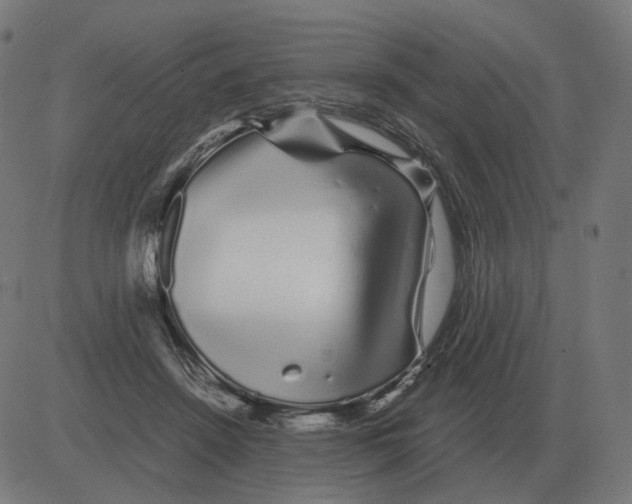 X0000081490456200702100034