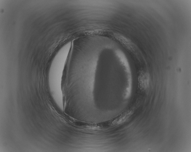 X0000081490458200702100034