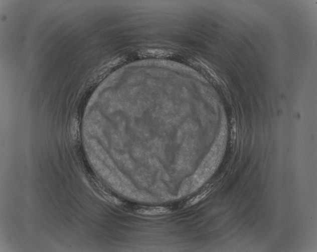 X0000081490459200702100034