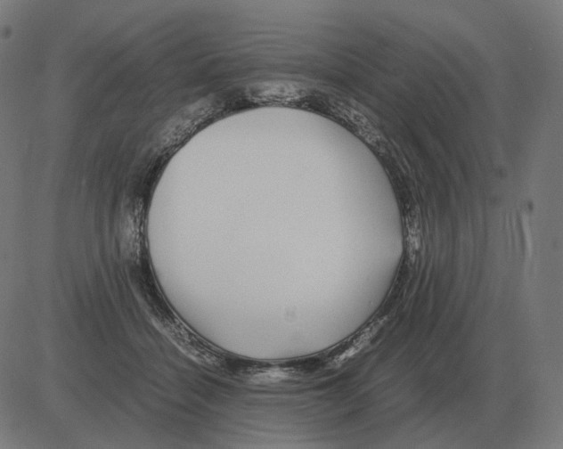 X0000081490460200702100034