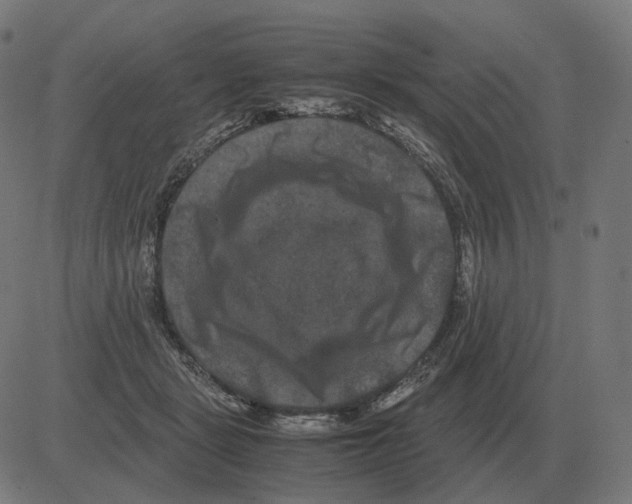 X0000081490461200702100034