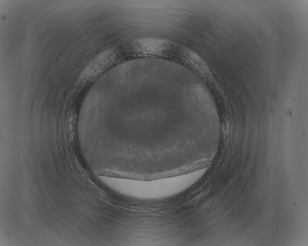 X0000081490462200702100034