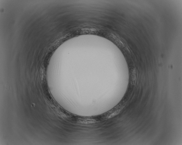 X0000081490463200702100034