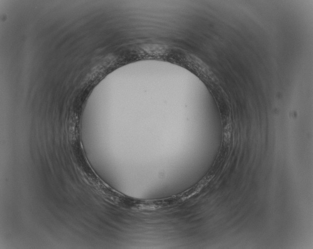 X0000081490464200702100034