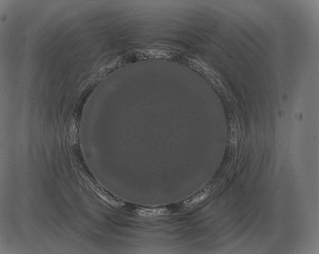 X0000081490465200702100034