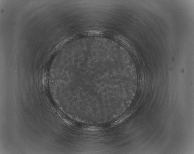 X0000081490467200702100034