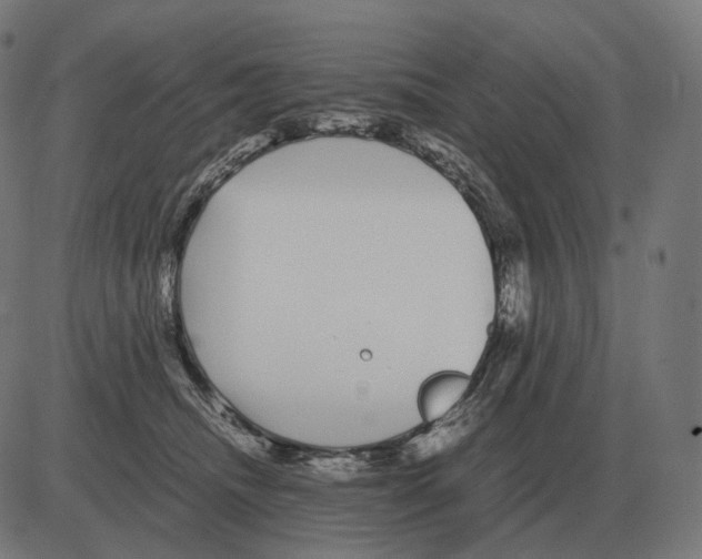 X0000081490468200702100034