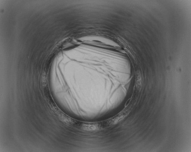 X0000081490469200702100034