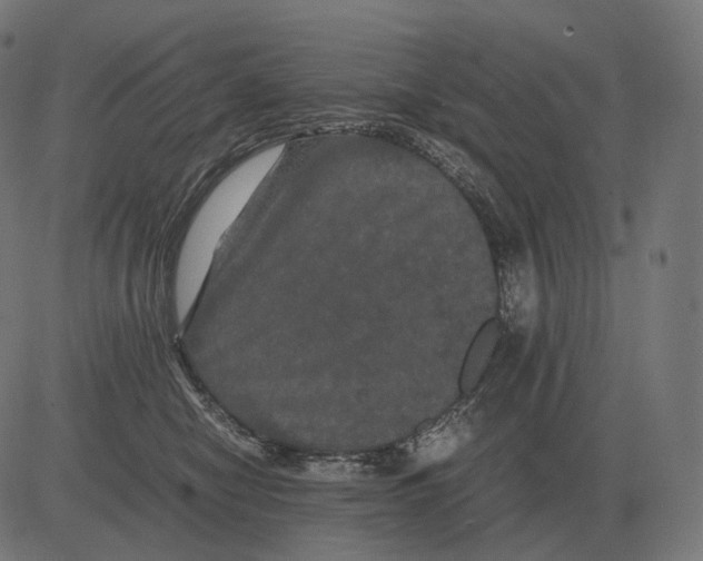 X0000081490470200702100034