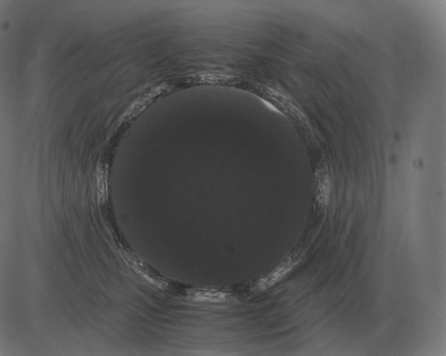 X0000081490471200702100034