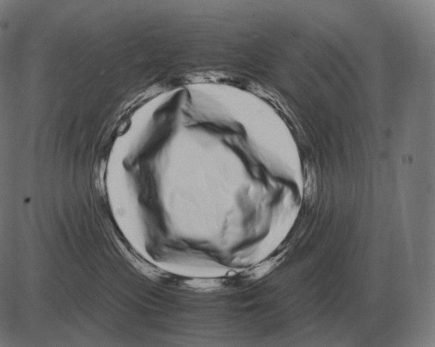 X0000081490477200702100034