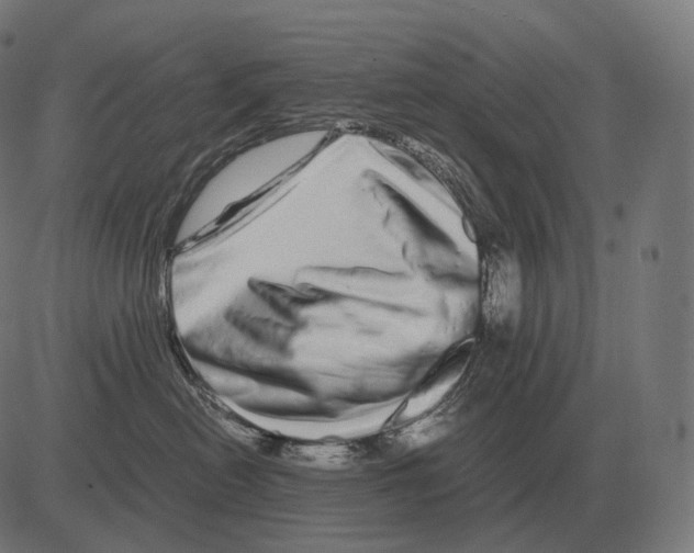 X0000081490478200702100034