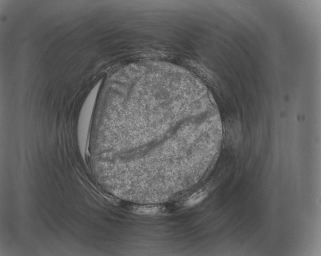 X0000081490479200702100034