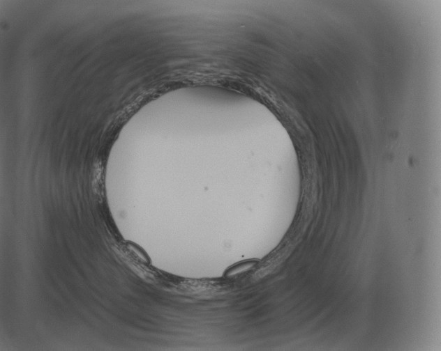 X0000081490480200702100034