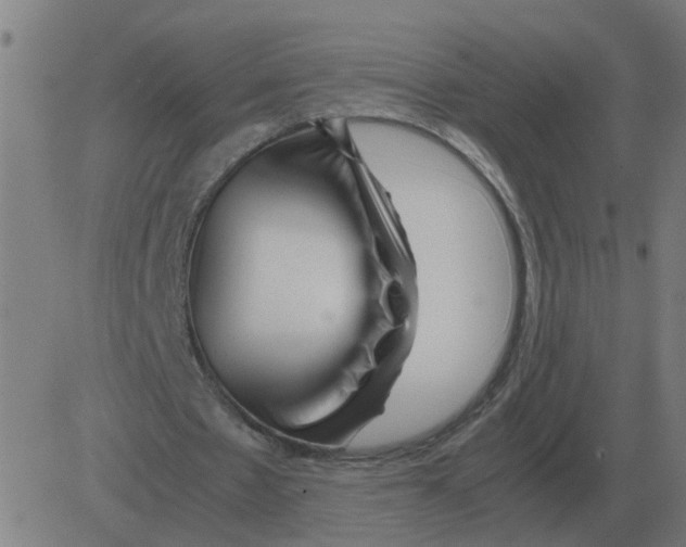 X0000081490481200702100034