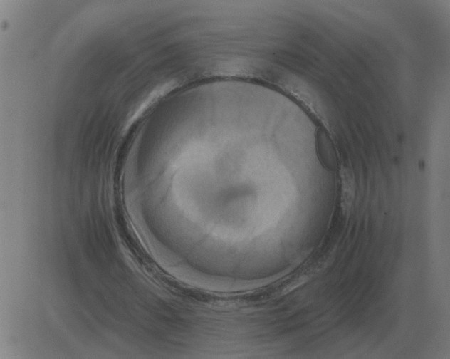 X0000081490482200702100034