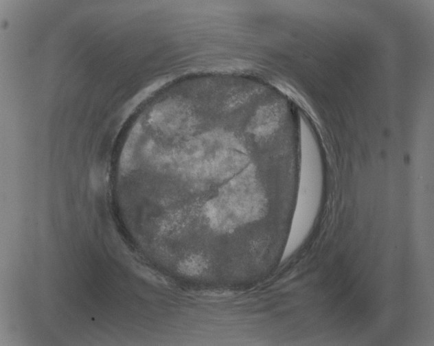 X0000081490483200702100034