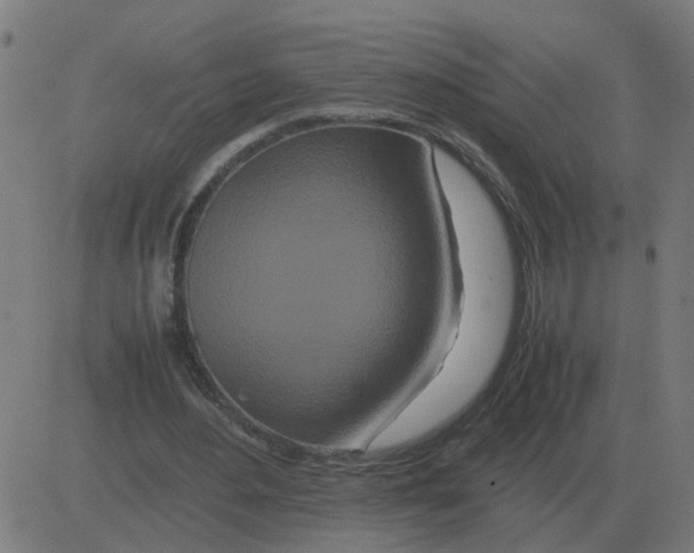 X0000081490484200702100034