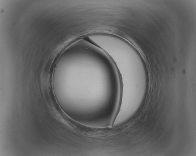 X0000081490485200702100034