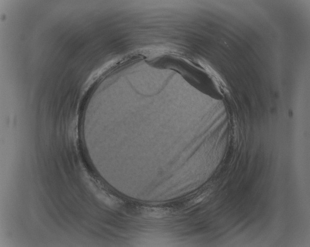 X0000081490486200702100034