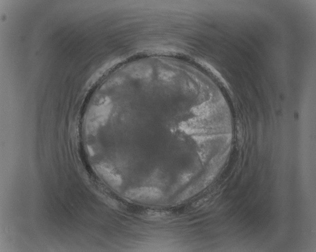 X0000081490487200702100034