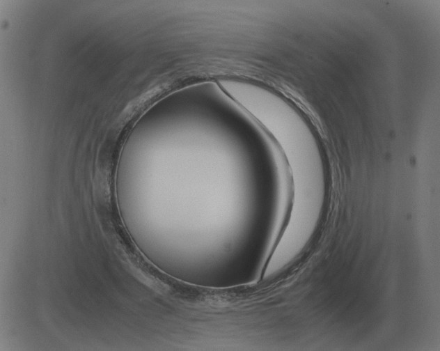 X0000081490489200702100034