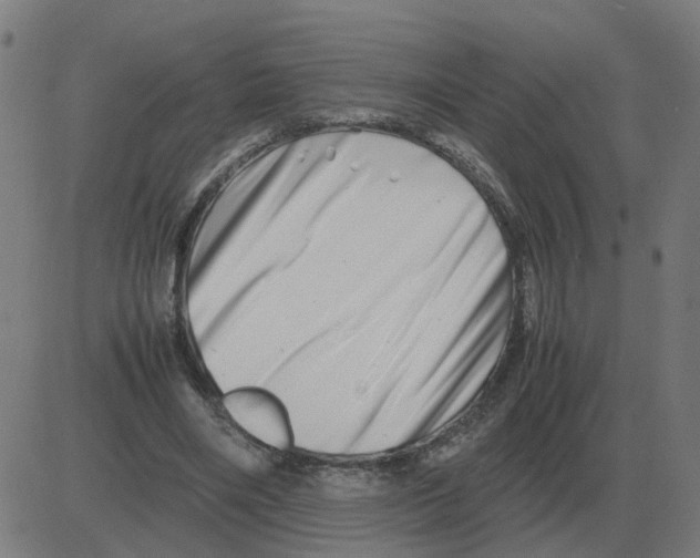 X0000081490490200702100034