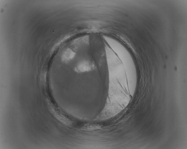 X0000081490491200702100034