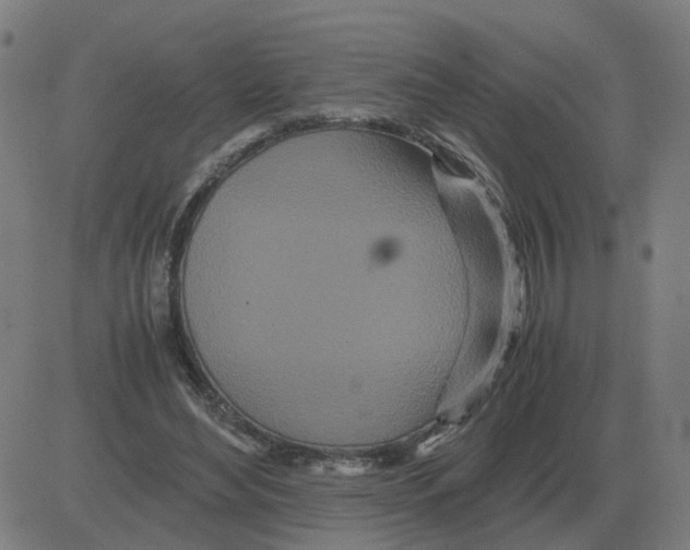 X0000081490492200702100034