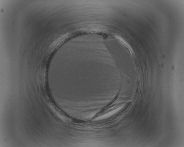 X0000081490493200702100034