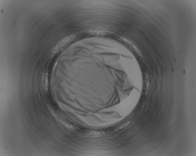 X0000081490494200702100033