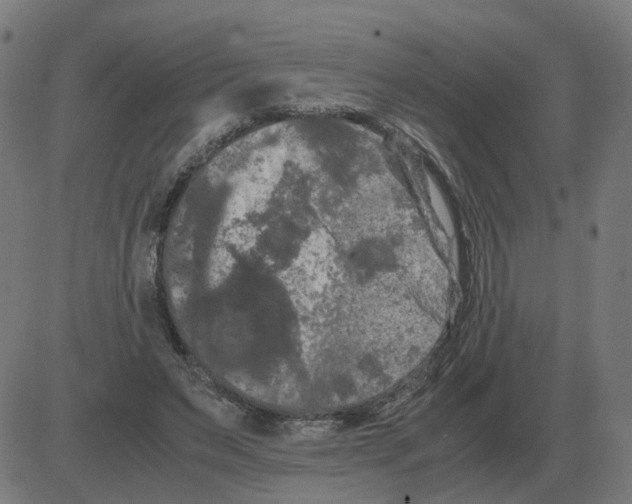 X0000081490495200702100033